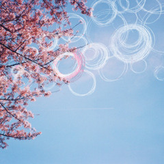 星ノカケラ - star crumb