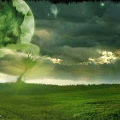 Susie Acid Emerson - Moist