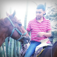 El Alma Grande- Los Cachorros de Juan Villarreal