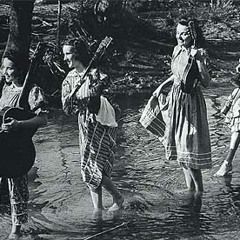 How Many Biscuits Can You Eat?