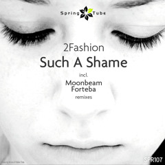 2Fashion - Such A Shame (Forteba Remix)
