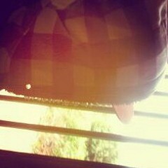 Alívio apc 16 e Rzo versão Rafa e Riva