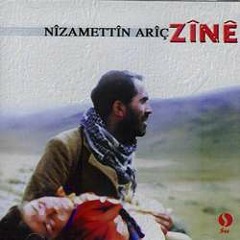 Nizamettin Arıç-Setero