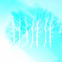 The Name of Every Tree