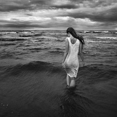 The shore