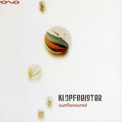 Klopfgeister - Disco Stu Doesn't Advertise (2006)