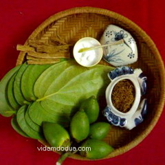 Nhung Canh Trau Mang Uoc Mo Bay - NL