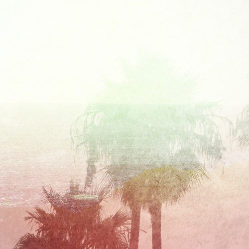 Tree+s