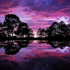 Mr. Luxury Feat. K Will & TonyT ''The Morning Lights''