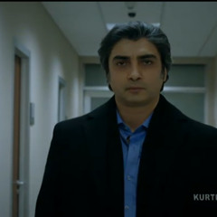polat alemdar
