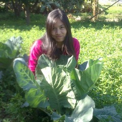 မင္းရဲ႕ေရြးခ်ယ္မွဳ႕