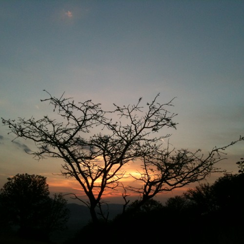 Fortes - Rockabilly DUB Mineral (feat Tiagosan)