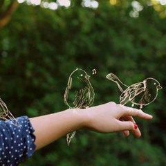 كل الجروح ليها دوا ... مسألة مبدأ