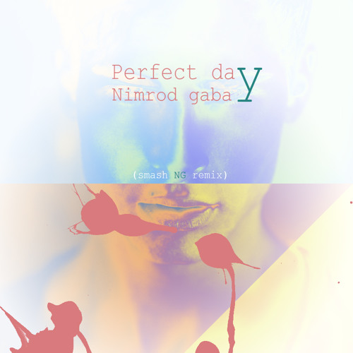 Nimrod Gabay - Sasha Lopez Feat Radio Killer - Perfect Day (smash NG Remix)