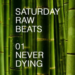 Saturday Raw Beats 01 - Never Dying