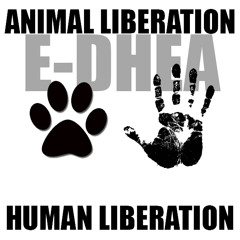 Animal Liberation