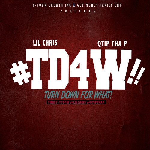 Lil Chris (M.I.C) Feat Q-Tip Tha P - TD4W