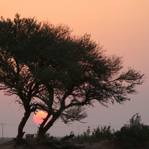 شيلة البارحة.. آداء : مشاري بن نافل