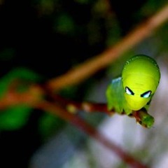 Simsemillia