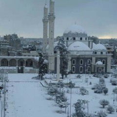 حمص بنت الوليد
