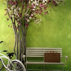 Kỷ Niệm Mái Trường