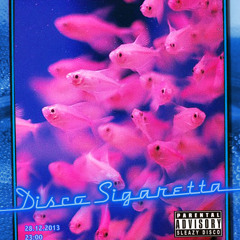Disco Sigaretta @ Control (28.12.2013)