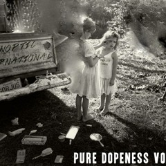 Nothing Takes The Place for Sinoptic International - Pure Dopeness Vol.8