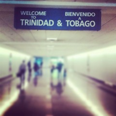 Allison Staggerah - I'za Bacchanalist (Remix Cover)