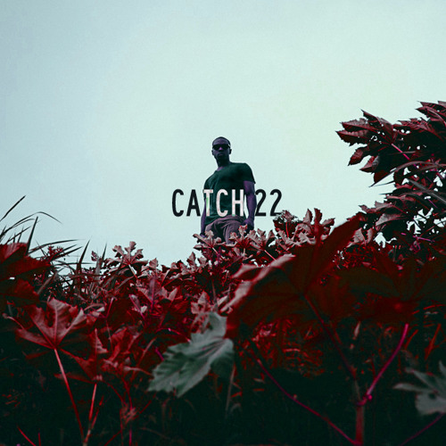 Brian Hawk | Catch 22