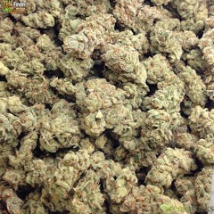 Quedate en la sombra! Ft. ZetaBE