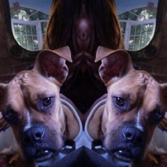 Beat Free2 Prod Albert