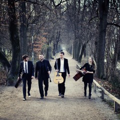 Max Meinhardt Snipped