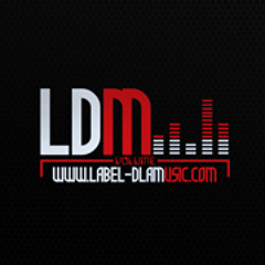 2Lamusic