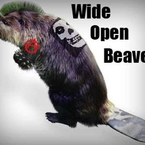Stream Wide Open Beaver Hurt (Cover Johnny Cash) by Jannik