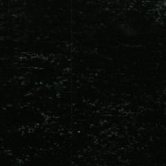 Botje - DETACHMENT # 2 - TW lifetime