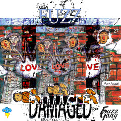 Fuzz(X) - Damaged