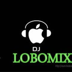 DJ LOBOMIXX 2014 DEMO
