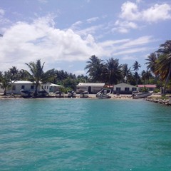 My Island Paradise(Remix)