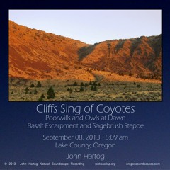 Cliffs Sing of Coyote (excerpt)
