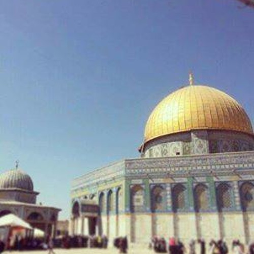 فؤادى يحس وعقلى يعى - نصر حسان