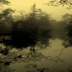 Paso Doble Ft. Ade Alafia & Andyboi-Shadows Of Dreams (Nikos Diamantopoulos Remix)