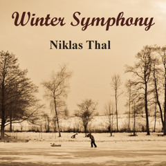 Niklas Thal - Winter Symphony (Original Mix)