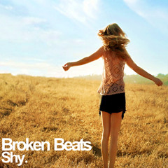 Broken Beats - Shy