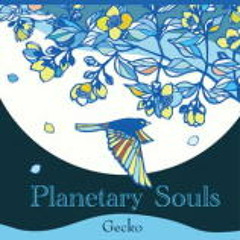 Planetary Souls / Gecko (TKGR-001) digest