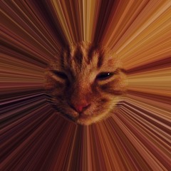 Jeffrey's Rave Smorgasbord