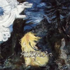 Ulver Kledt I Nattens Farger