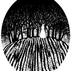 Voices in the Mist