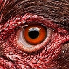 Baron Lakwa vs Alex Johansen - Juju