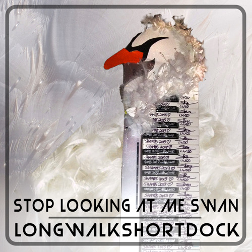 Stop Looking At Me Swan - Longwalkshortdock