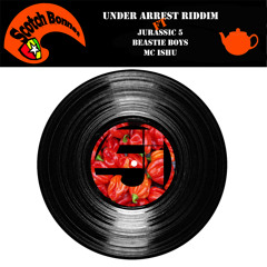Under Arrest Riddim ft Jurassic 5, Beastie Boys & MC Ishu - Dub T Mashup